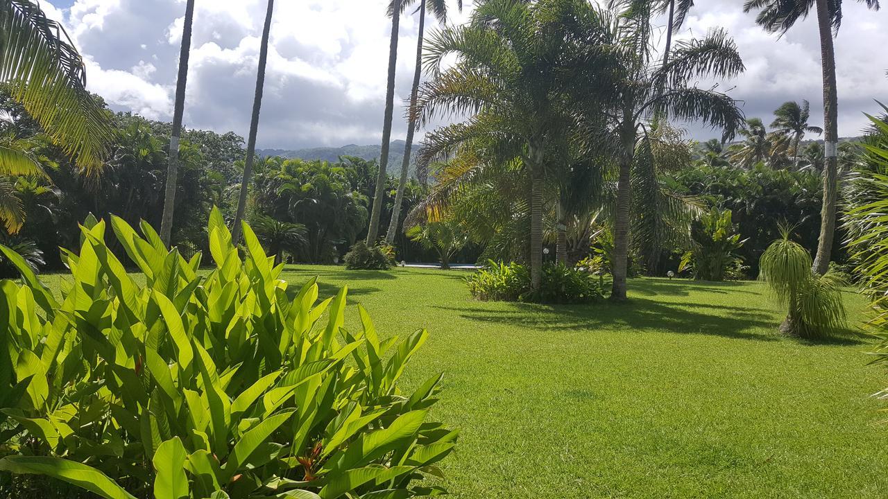 Villa Manaora Taravao 외부 사진